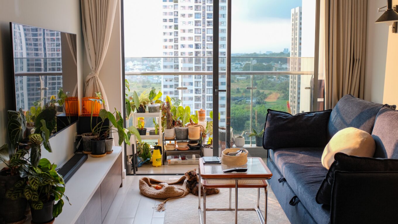 15 Best plants for apartments