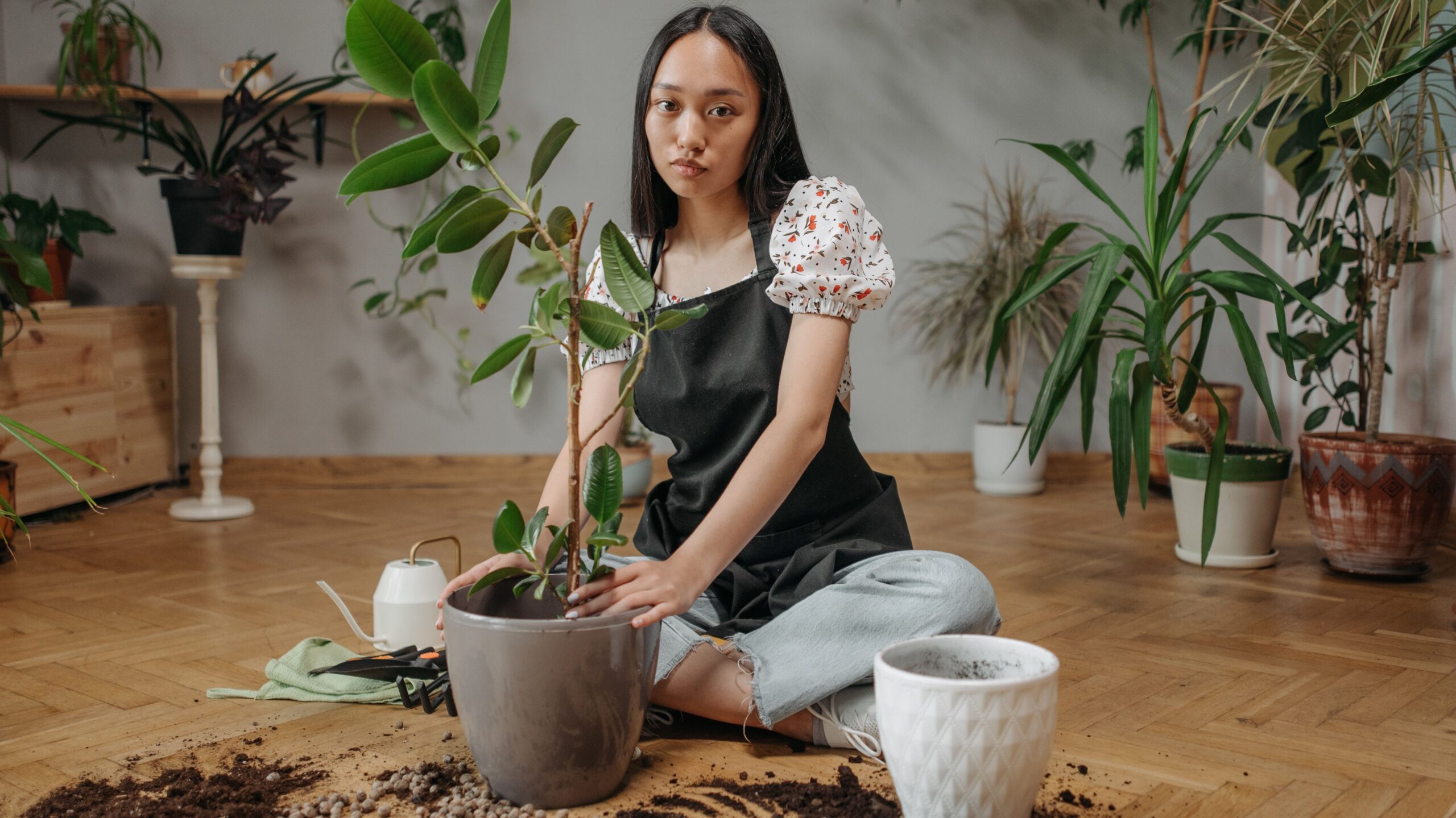 Common mistakes when caring for plants and how to avoid them