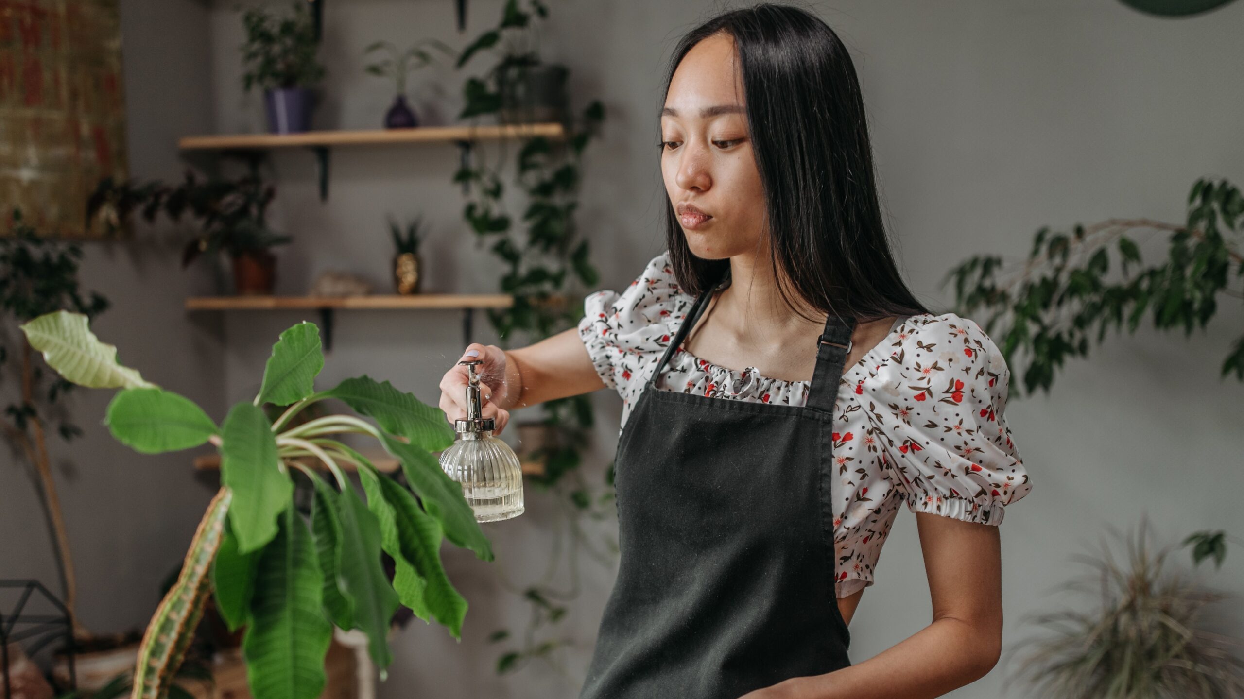 How to care for your plants - practical tips