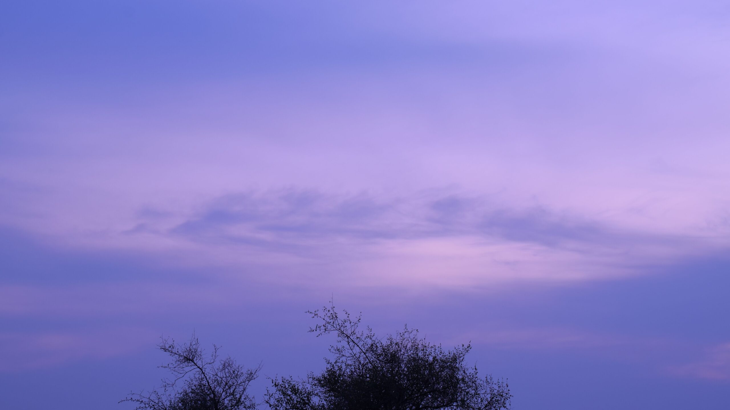 So why do we see a blue sky and not a violet one?