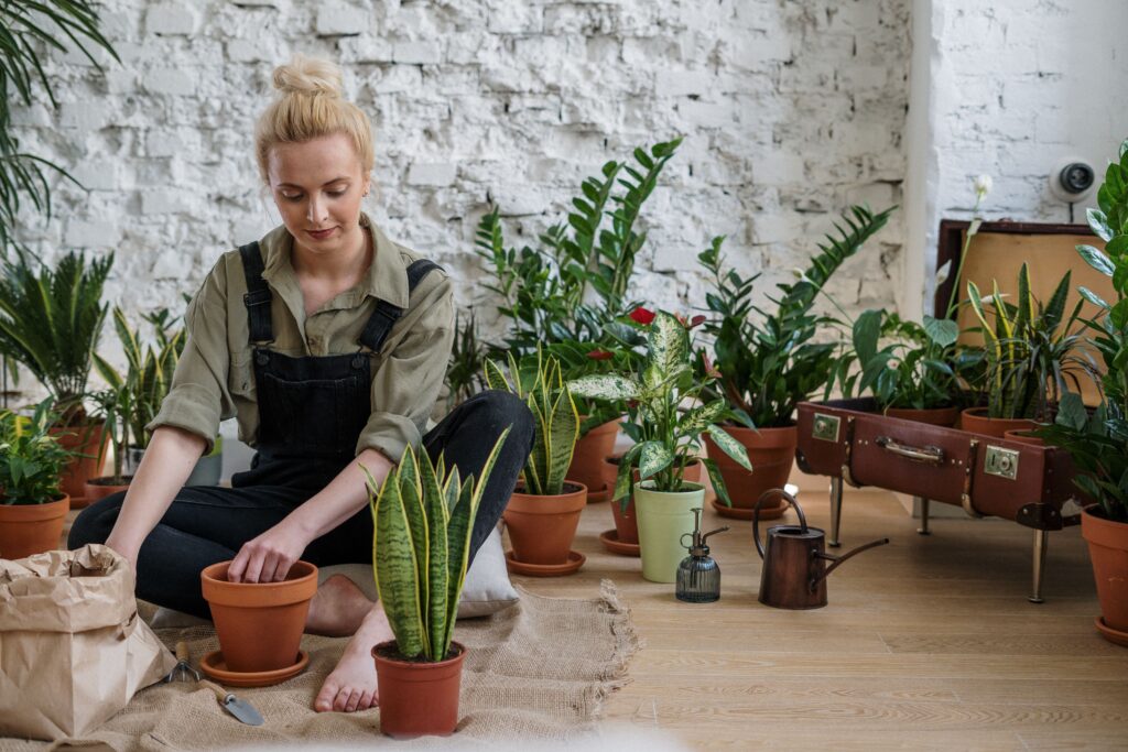 what makes a plant easy to care for